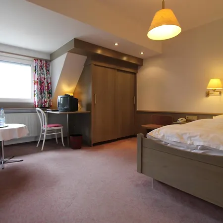 Hotel Troester 3*